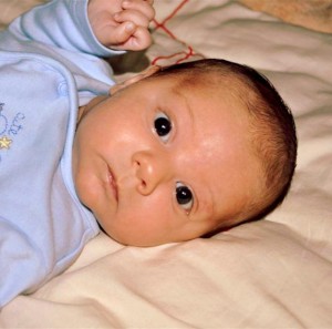 981619_10201424779527251_600351663_o